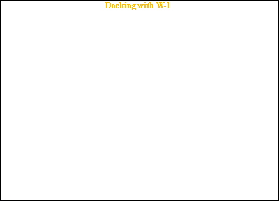 Docking with W-1